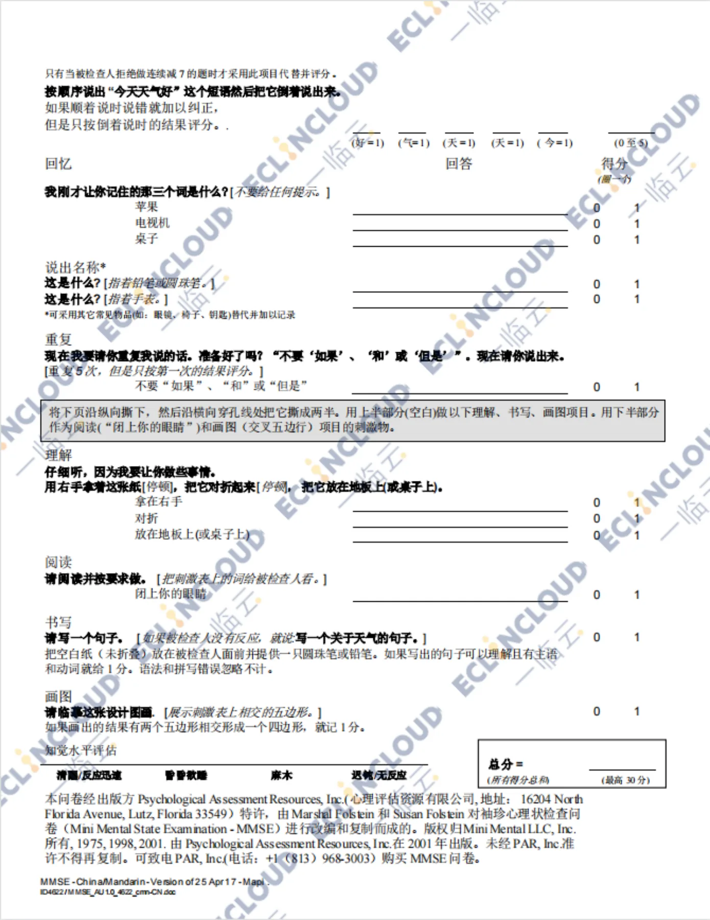 MMSE评估表续页示例