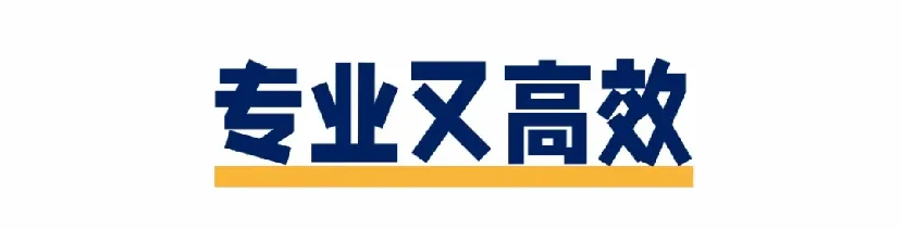 用户反馈主题：专业又高效